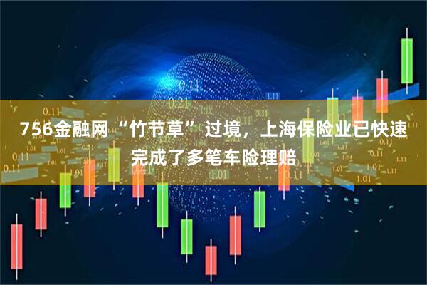 756金融网 “竹节草” 过境，上海保险业已快速完成了多笔车险理赔