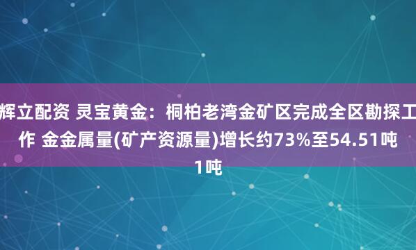辉立配资 灵宝黄金：桐柏老湾金矿区完成全区勘探工作 金金属量(矿产资源量)增长约73%至54.51吨